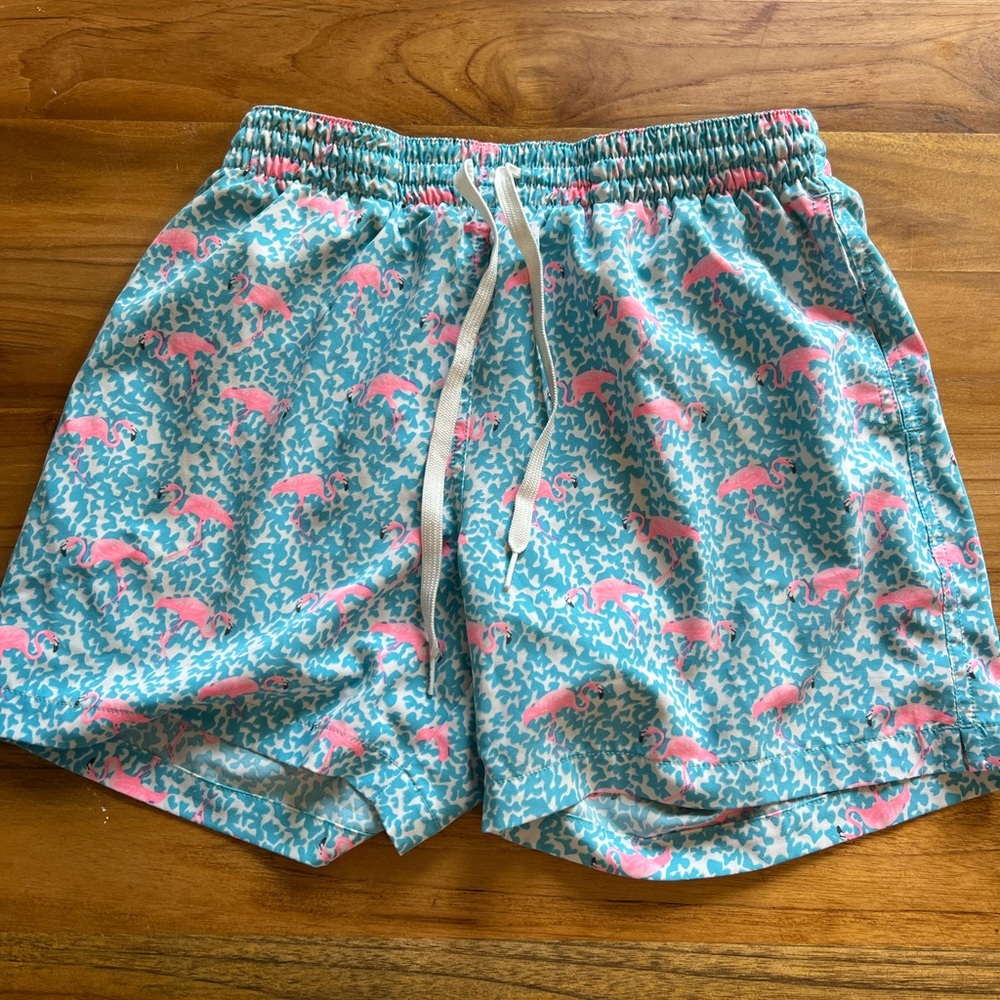 Chubbies Bathing Suit